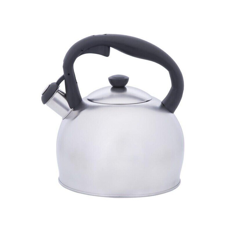 WHISTLING KETTLE 3.0L|90602 RESTO цена и информация | Kohvikannud, teekannud | kaup24.ee