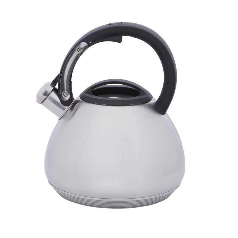 WHISTLING KETTLE 2.7L|90603 RESTO цена и информация | Kohvikannud, teekannud | kaup24.ee