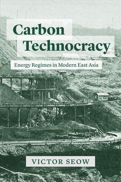 Carbon Technocracy: Energy Regimes in Modern East Asia цена и информация | Ajalooraamatud | kaup24.ee