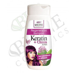 Taastav šampoon Keratin + Quinine 260 ml цена и информация | Шампуни | kaup24.ee