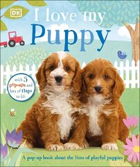 I Love My Puppy цена и информация | Книги для малышей | kaup24.ee