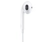 CO2 telefoni kõrvaklapid, EAR PODS iPhone XS 11 12 13 jaoks цена и информация | Kõrvaklapid | kaup24.ee