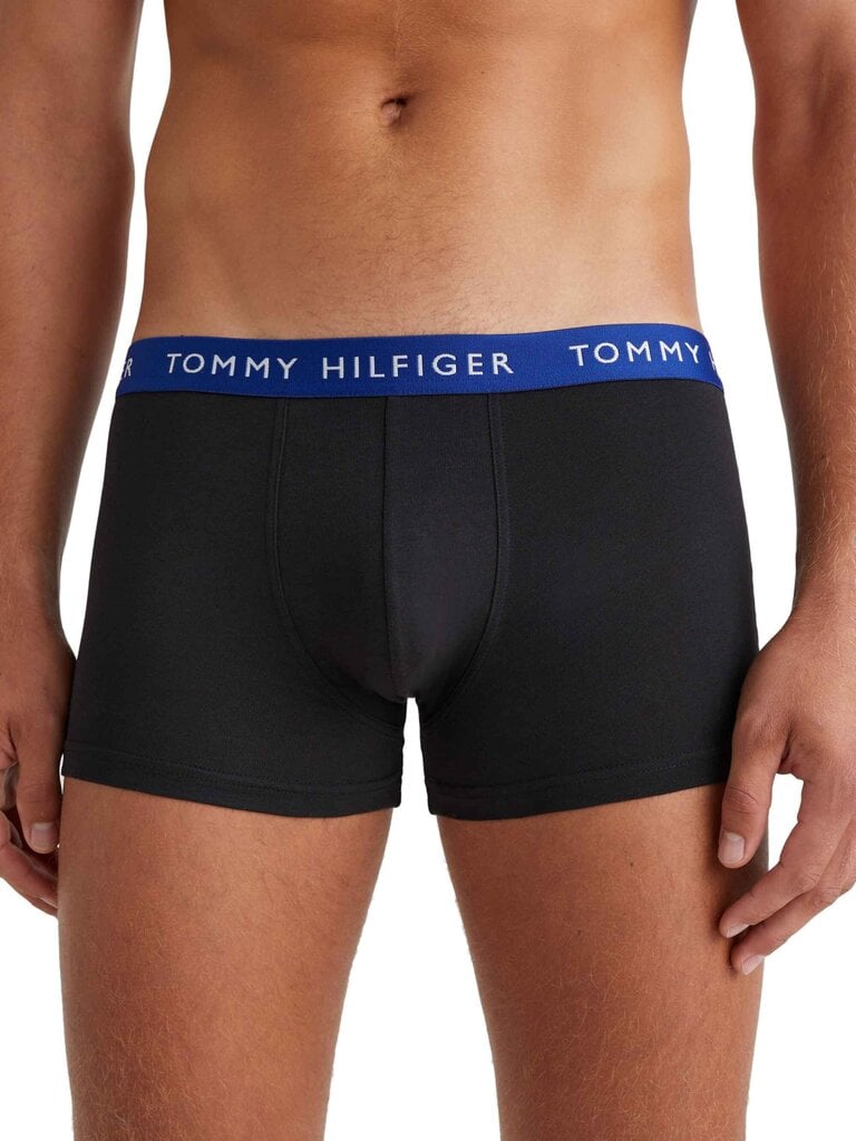 Meeste aluspüksid Tommy Hilfiger 50866, must, 3 tk. hind ja info | Meeste aluspesu | kaup24.ee