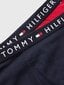 Lühikesed püksid poistele Tommy Hilfiger TР Monogram Print, 2 tk hind ja info | Poiste aluspesu | kaup24.ee