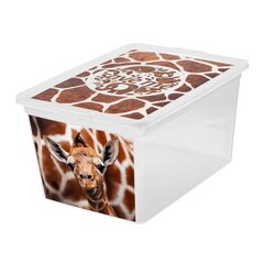 Branq hoiukast Box Deco, 15 l hind ja info | Hoiukastid ja -korvid | kaup24.ee