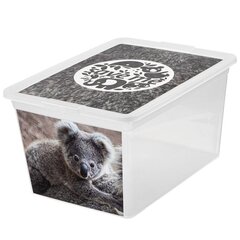 Branq hoiukast Box Deco, 15 l цена и информация | Ящики для вещей | kaup24.ee