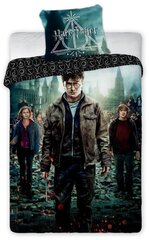 Комплект постельного белья Harry Potter, 135x200 см, 2 части цена и информация | Комплекты постельного белья | kaup24.ee