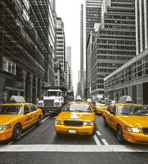Фотообои - Желтое такси 225х250 см цена и информация | Фотообои | kaup24.ee