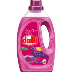 Vedel pesuaine Dalli Color värvilise pesu jaoks 20p (1.1l) hind ja info | Pesuvahendid | kaup24.ee