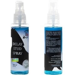 Ejakulatsiooni edasilükkav sprei Love Stim Delay Stud Spray, 100ml hind ja info | Lubrikandid | kaup24.ee