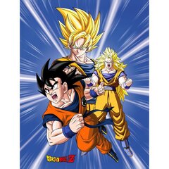 Laste pleed Dragon Ball, 130x170cm цена и информация | Покрывала, пледы | kaup24.ee