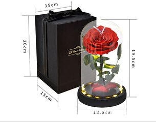 Роза в колбе / Вечная стабилизированная роза 22 см цена и информация | Спящие стабилизированные розы, растения | kaup24.ee