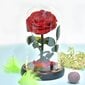 Roos kolvis / Igavene stabiliseeritud roos 22 cm цена и информация | Uinuvad roosid, taimed | kaup24.ee