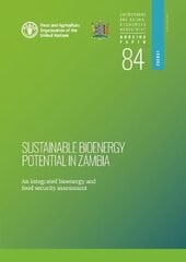 Sustainable bioenergy potential in Zambia: an integrated bioenergy food security assessment цена и информация | Книги по социальным наукам | kaup24.ee