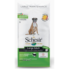 SCHESIR Large Adult Lamb, 12kg - kuivtoit lambalihaga suurtele täiskasvanud koertele, Z 020099 hind ja info | Kuivtoit koertele | kaup24.ee