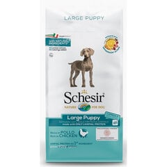 Сухой корм Schesir Large Puppy для щенков крупных пород, беременных и кормящих сук, Z 020095, 12 кг цена и информация | Сухой корм для собак | kaup24.ee