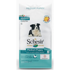 Сухой корм Schesir Medium Puppy для средних пород, беременных и кормящих сук, Z 020018, 12 кг цена и информация |  Сухой корм для собак | kaup24.ee