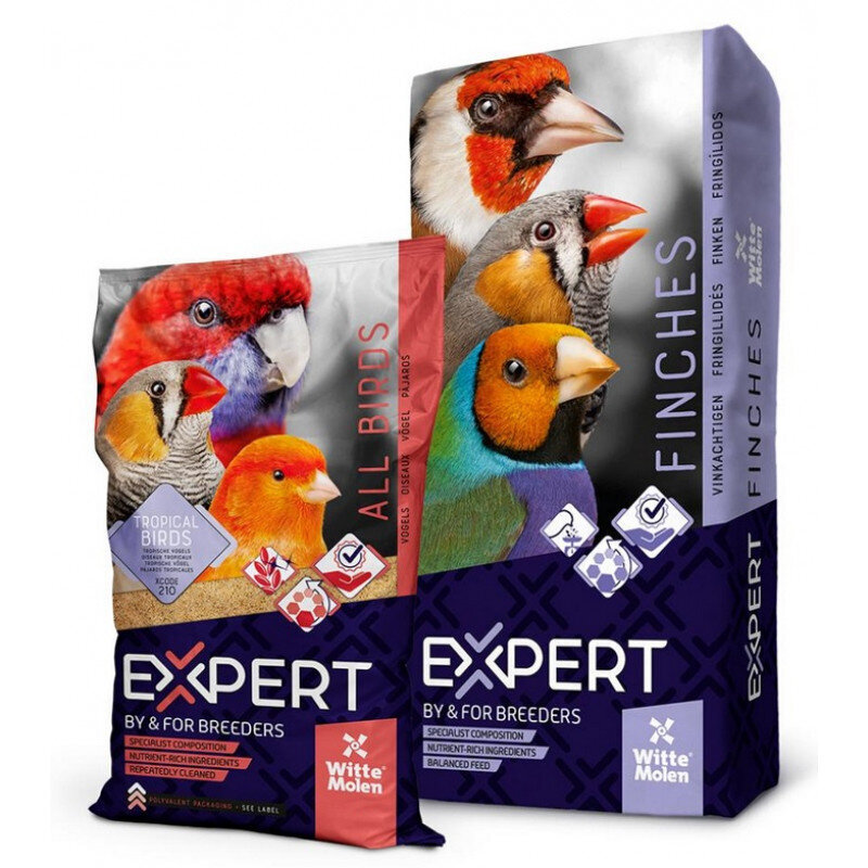 Witte Molen Expert Troopilised linnud, 5kg - toit fintidele, Z 320025 цена и информация | Linnutoidud | kaup24.ee
