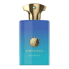 Amouage Figment EDP meestele 100 ml hind ja info | Meeste parfüümid | kaup24.ee