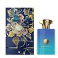 Amouage Figment EDP meestele 100 ml цена и информация | Meeste parfüümid | kaup24.ee