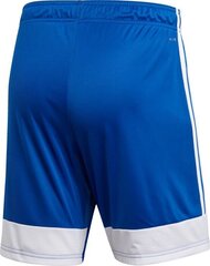 Lühikesed püksid Adidas Tastigo 19, sinine hind ja info | Jalgpalli varustus ja riided | kaup24.ee