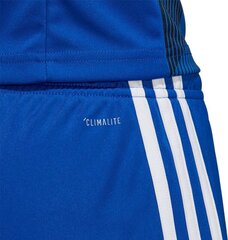 Шорты Adidas Tastigo 19, синие цена и информация | Футбольная форма и другие товары | kaup24.ee