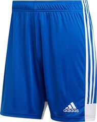 Lühikesed püksid Adidas Tastigo 19, sinine hind ja info | Jalgpalli varustus ja riided | kaup24.ee