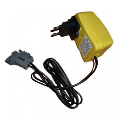 Комплект зарядного устройства PEG-PEREGO 24V 1A Multiplug цена и информация | Электромобили для детей | kaup24.ee
