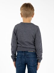 Кофта для мальчика KIMKO Grey цена и информация | Свитеры, жилетки, пиджаки для мальчиков | kaup24.ee