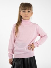 Tüdrukute kampsun Pink цена и информация | Свитеры, жилетки, пиджаки для девочек | kaup24.ee