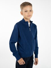 Кофта для мальчика KIMKO Dark Blue цена и информация | Свитеры, жилетки, пиджаки для мальчиков | kaup24.ee