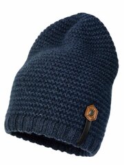 Детская шапка JAMIKS Orlean цена и информация | Шапки, перчатки, шарфы для мальчиков | kaup24.ee
