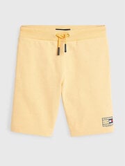 Lühikesed püksid poistele Tommy Hilfiger Natural Dye Kollane, kollane hind ja info | Poiste püksid | kaup24.ee