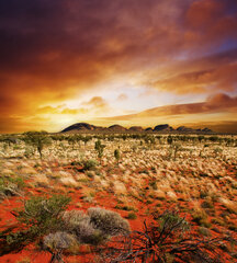 Фотообои - Австралийский пейзаж  225х250 см цена и информация | Фотообои | kaup24.ee