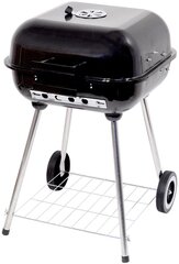 Ristkülikukujuline söegrill Cattara Trapani 46 cm hind ja info | Grillid | kaup24.ee