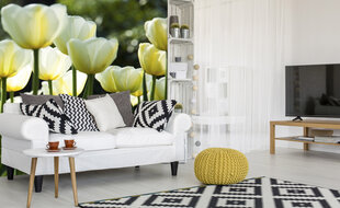 Фотообои - Белые тюльпаны 225х250 см цена и информация | Фотообои | kaup24.ee