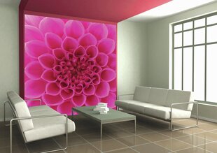 Fototapeet - Roosa dahlia 225 x 250 cm hind ja info | Fototapeedid | kaup24.ee