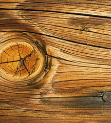 Фотообои - Имитация дерева 225х250 см цена и информация | Фотообои | kaup24.ee