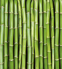 Fototapeet - Bambus 225 x 250 cm hind ja info | Fototapeedid | kaup24.ee