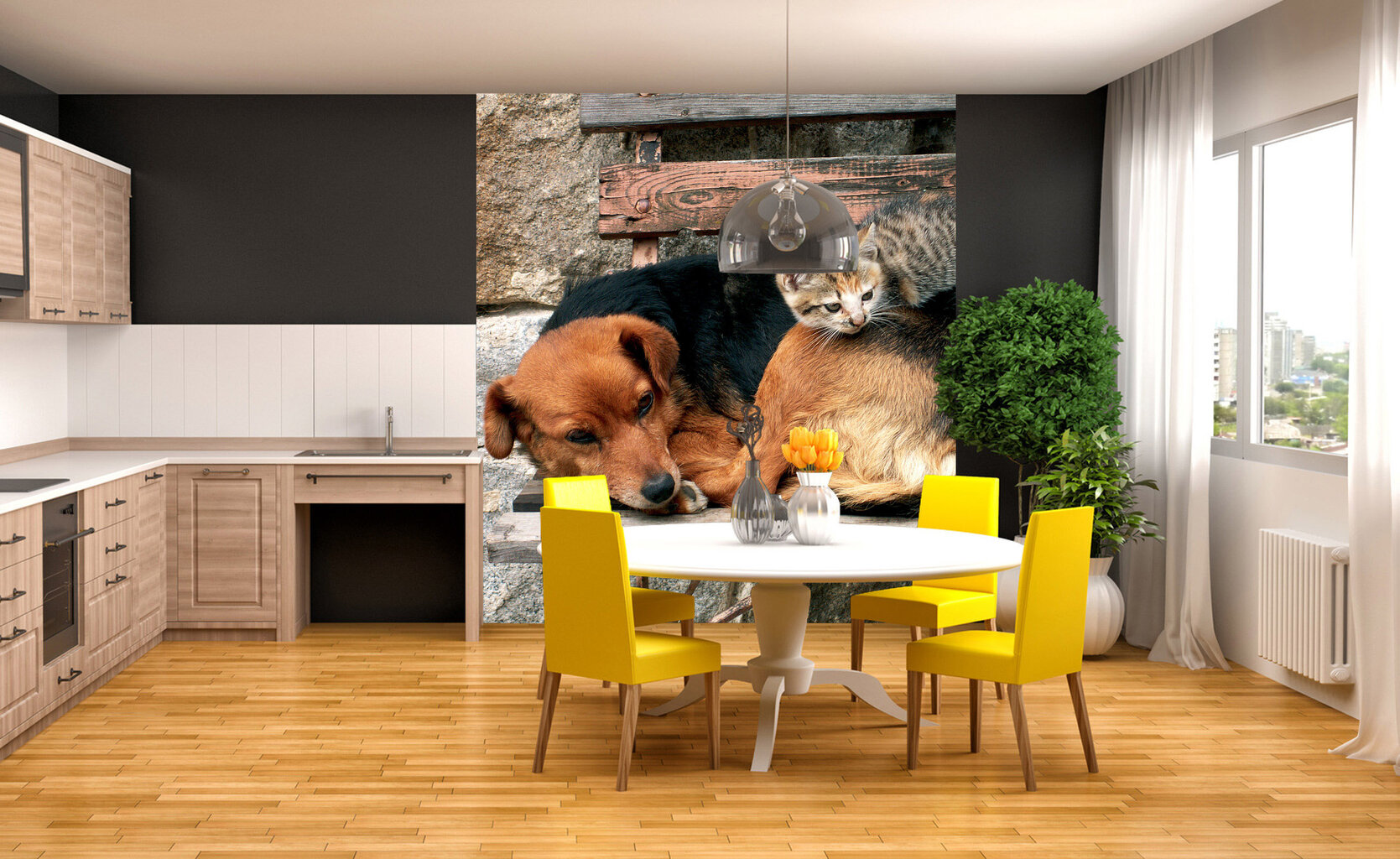 Fototapeet - Kass ja koer 225 x 250 cm hind ja info | Fototapeedid | kaup24.ee