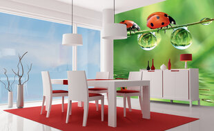 Fototapeet - Ladybugs 225 x 250 cm hind ja info | Fototapeedid | kaup24.ee