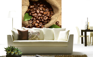 Фотообои - Кофейные зерна 225х250 см цена и информация | Фотообои | kaup24.ee