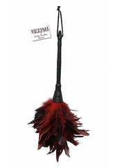 Кнут из перьев Fetish Fantasy Frisky Feather Duster, красный цена и информация | БДСМ и фетиш | kaup24.ee