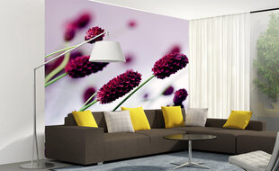 Fototapeet - Violett lill 225 x 250 cm hind ja info | Fototapeedid | kaup24.ee