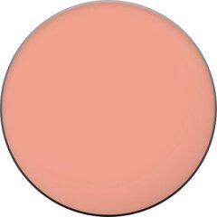 Румяна True Match L'Oreal Make Up: Цвет - 90 Rose Eclat/ Lumi цена и информация | Тушь, средства для роста ресниц, тени для век, карандаши для глаз | kaup24.ee
