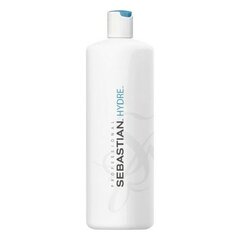 Увлажняющая процедура Sebastian Hydre Moisturizing Treatmen (500 ml) цена и информация | Средства для укрепления волос | kaup24.ee