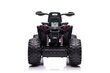 Elektriline ATV lastele Quad QLS-3288, roheline hind ja info | Laste elektriautod | kaup24.ee