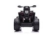 Elektriline ATV lastele Quad QLS-3288, valge цена и информация | Laste elektriautod | kaup24.ee