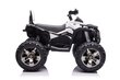 Elektriline ATV lastele Quad QLS-3288, valge цена и информация | Laste elektriautod | kaup24.ee