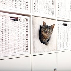 Домик для кошки в форме куба Trixi, 33 x 33 x 37 см, 44090 цена и информация | Лежаки, домики | kaup24.ee